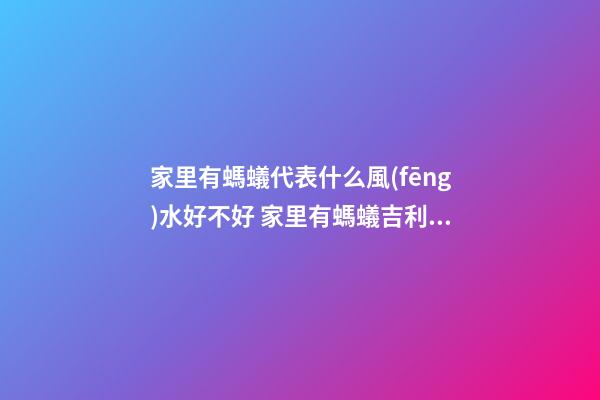 家里有螞蟻代表什么風(fēng)水好不好 家里有螞蟻吉利風(fēng)水解析
